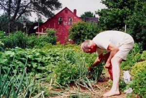10 Gardening Tips to Weed Out Back Pain