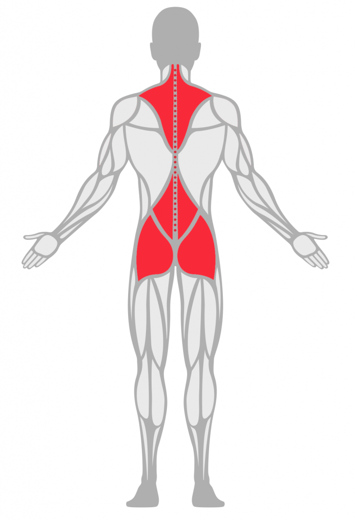 Graphic of the human body from the back showing the upper and lower back, cervical spine, and disc injury areas highlighted in red.