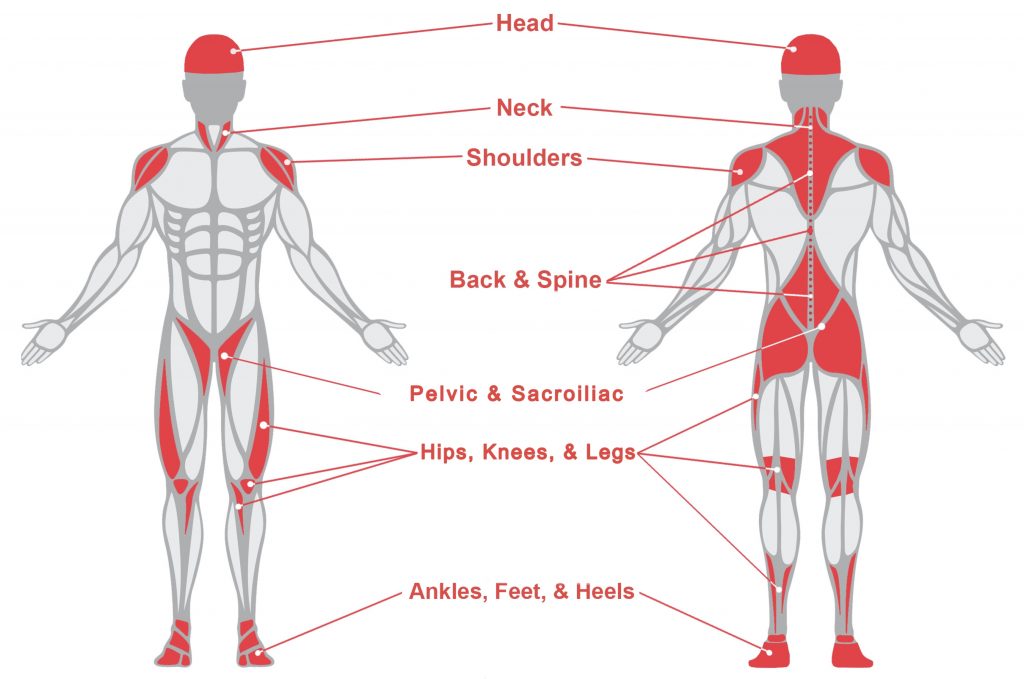 Overview graphic of the human body front back showing the various regions of the body where physiotherapy can help alleviate pain and restore a person's quality of life.