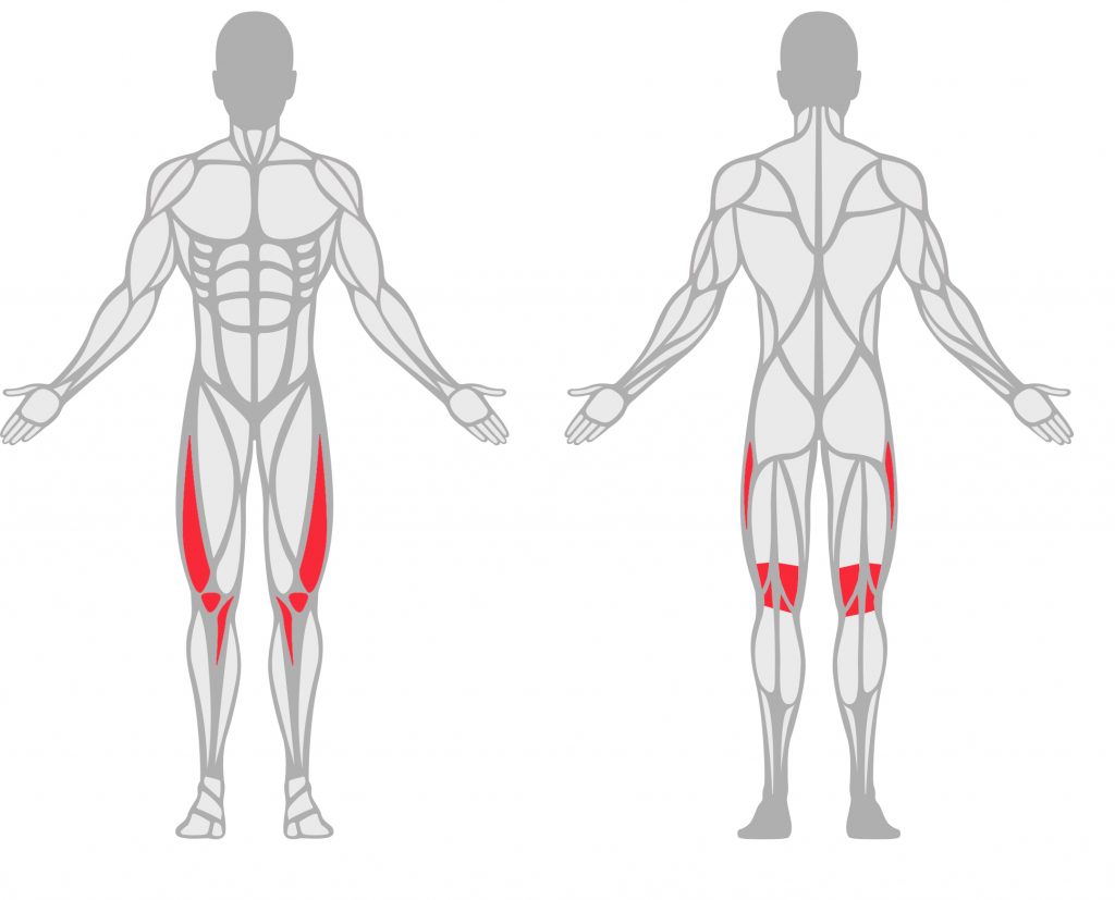 Graphic of the human body front and back showing hips, legs, ITB, and knee areas highlighted in red.