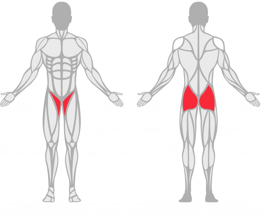 Overview graphic of the human body front and back showing the pelvic and sacroiliac region in red.