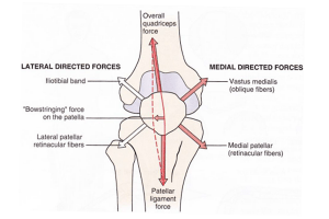 Lateral Medial Directed Forces