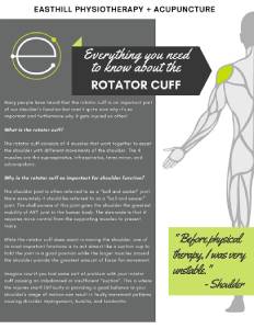Rotator-Cuff-Anatomy